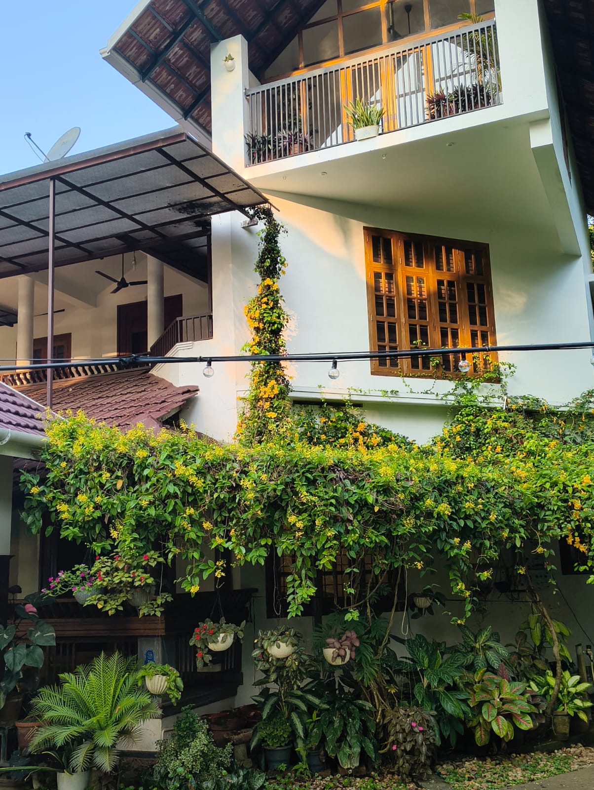 Maleyam Homestay riverside retreat — Kadalundi, Calicut, Kerala — press play to watch