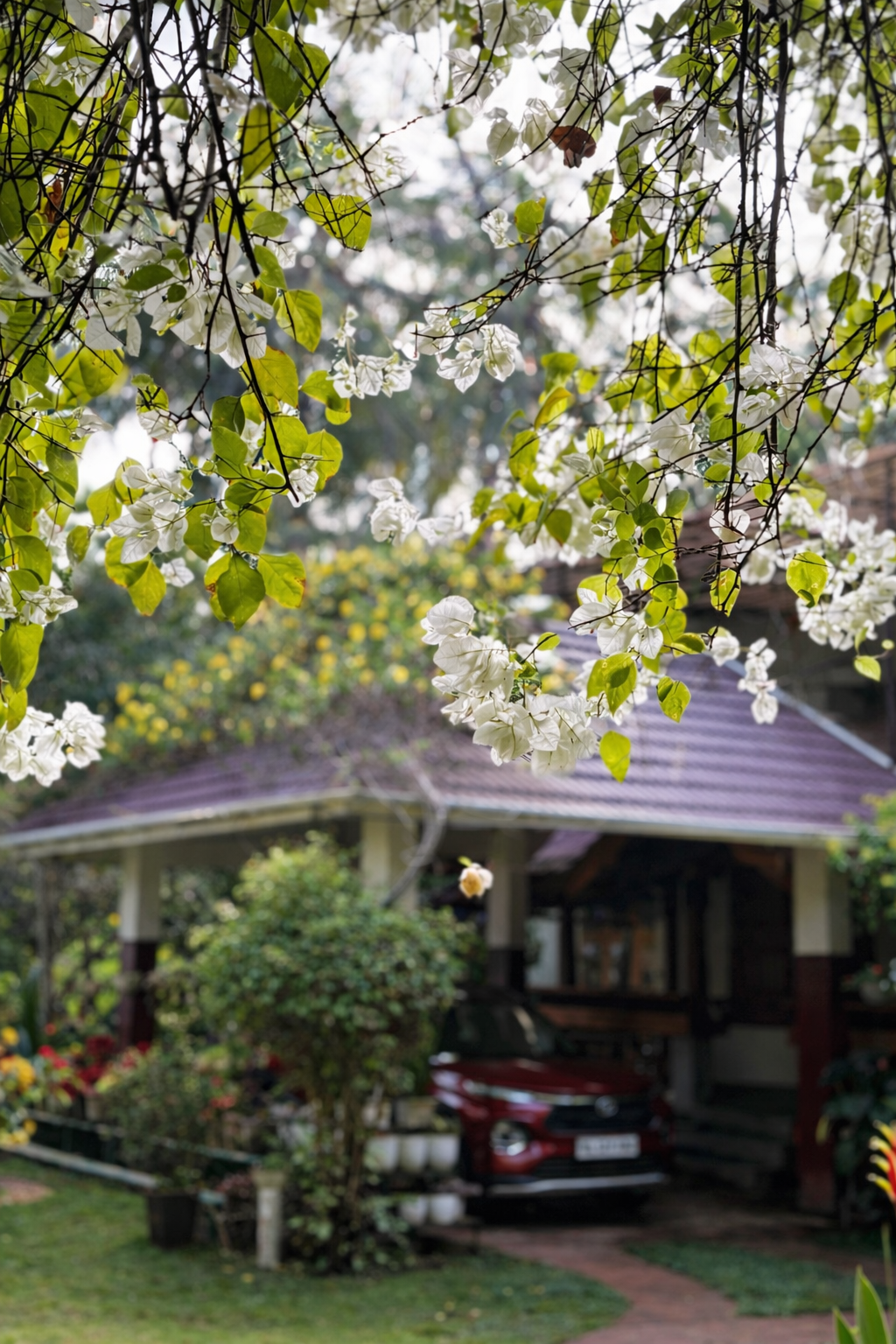 Riverside area at Maleyam Homestay
